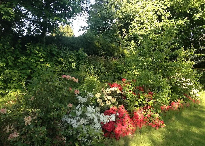 Hébergement de vacances Le Chanteclair *